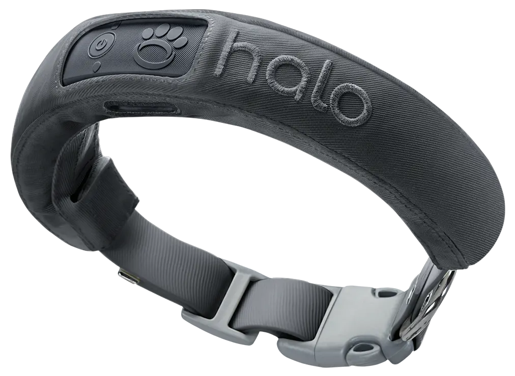 Halo Collar 3
