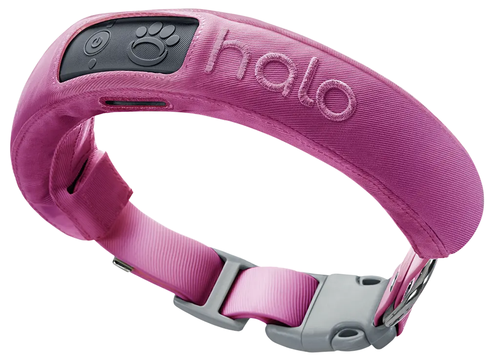 Halo Collar 3