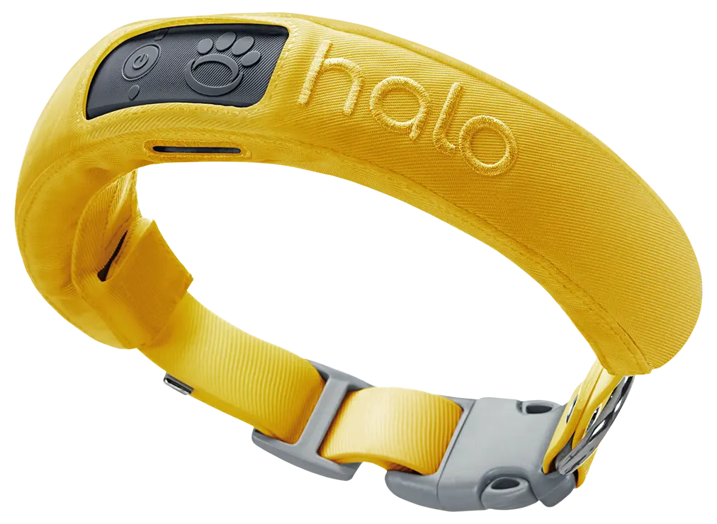 Halo Collar 3