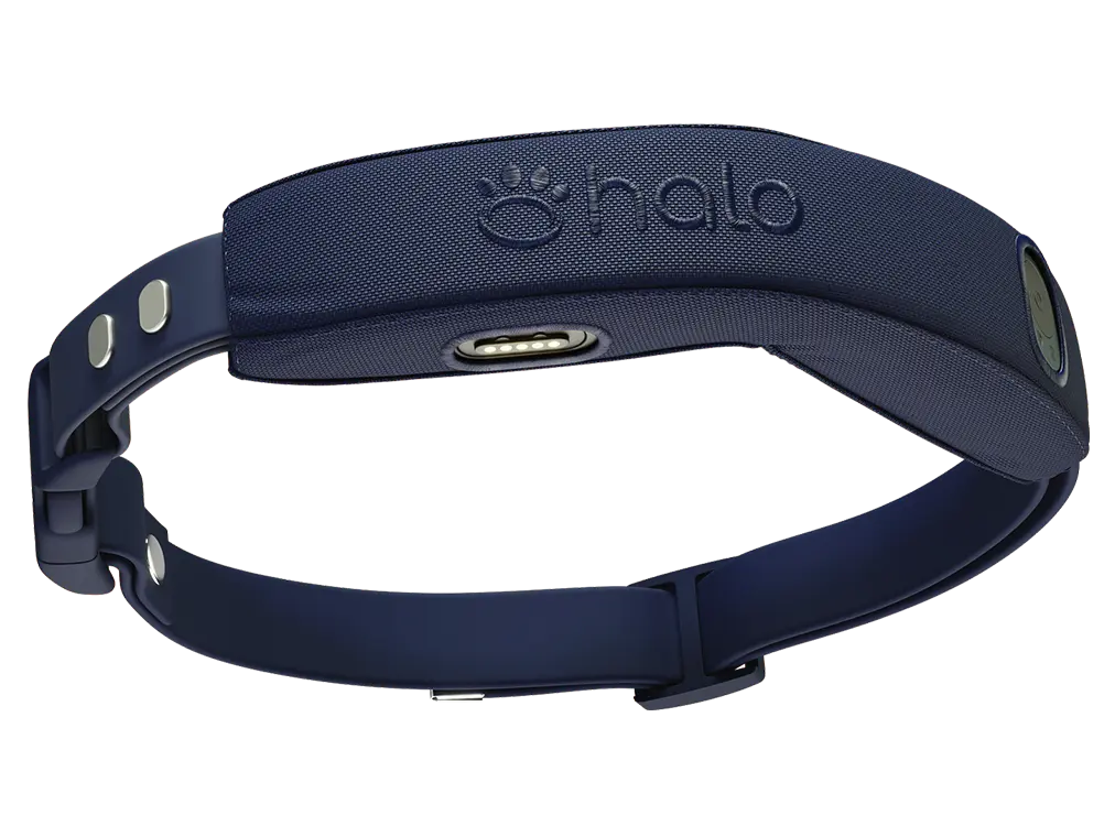 Halo Collar 4
