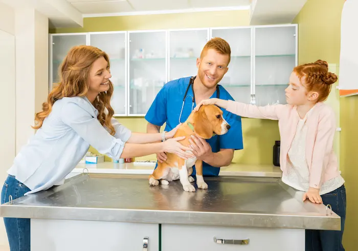 Puppy  at vet clinic preparing to be neautered