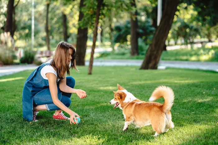 Portrait of woman with dog Welsh Corgi Pembroke in dog park