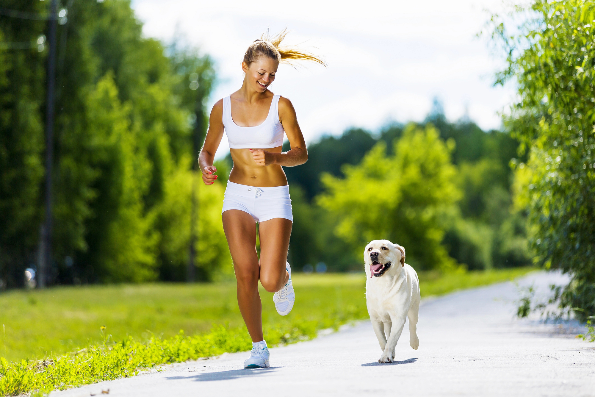 A dog running with the owner