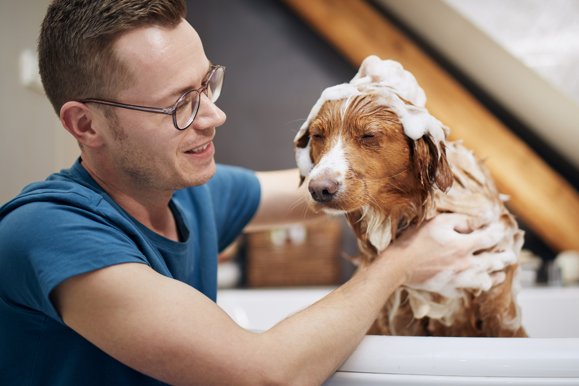 Dog taking bath at home