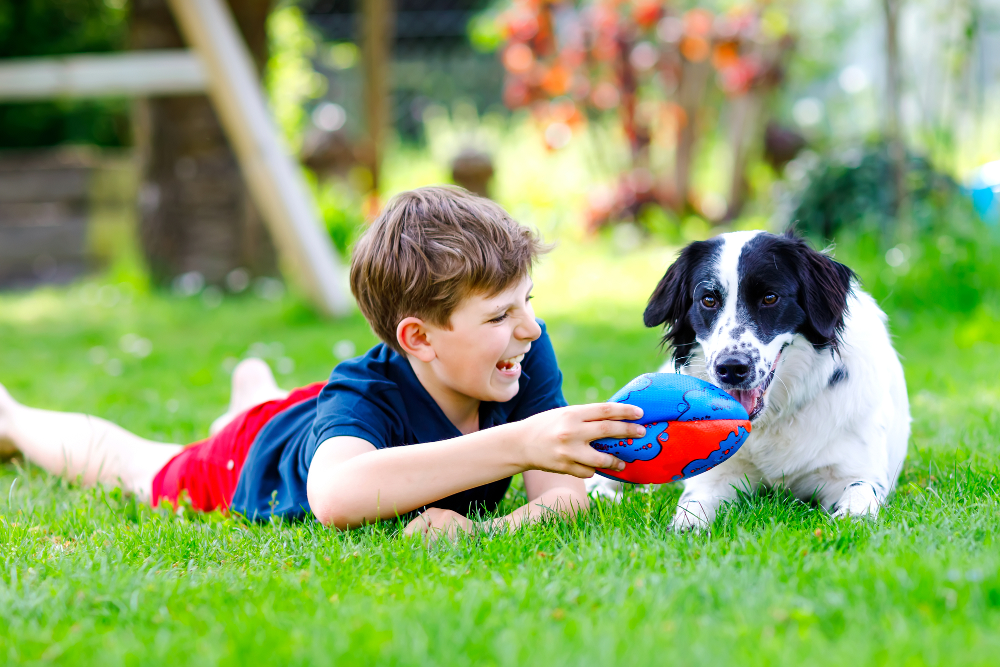 Active boy playing with family dog in the backyard