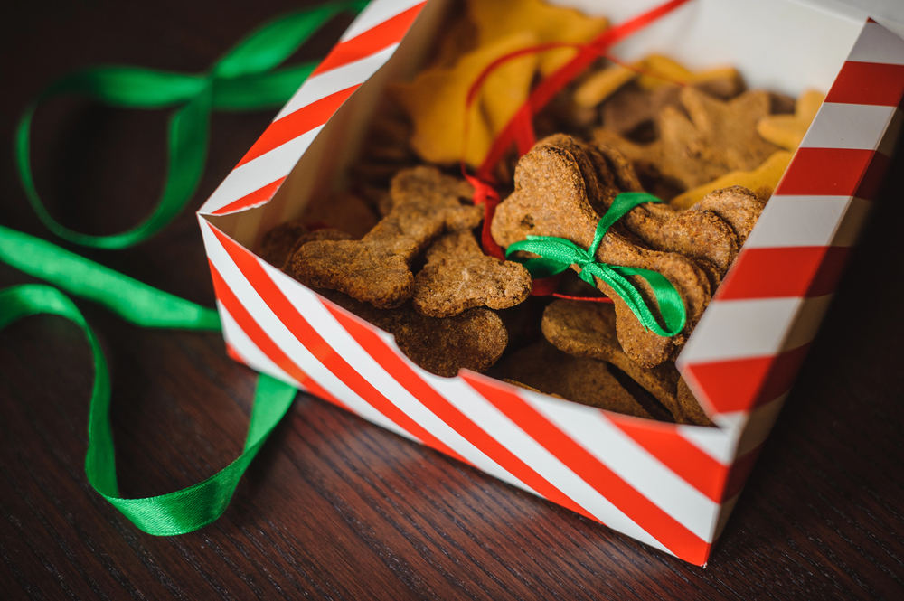 Homemade dog bones shaped dog holiday treats