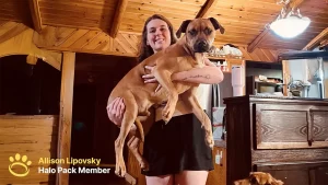 A Deeper Bond Through Freedom: Alli and Kingston’s Halo Collar Journey