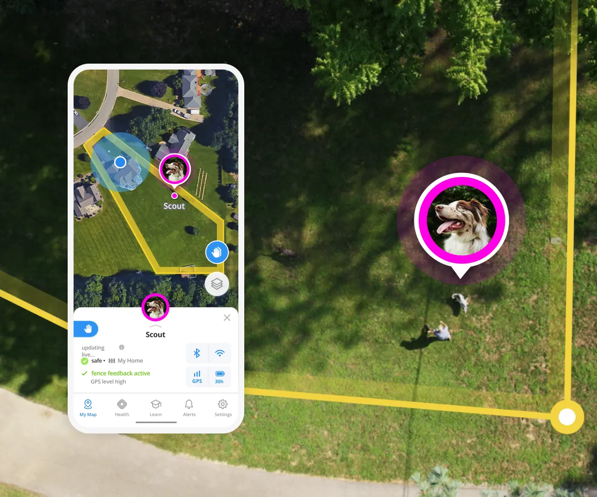 Halo app interface showing real-time GPS tracking map and location updates