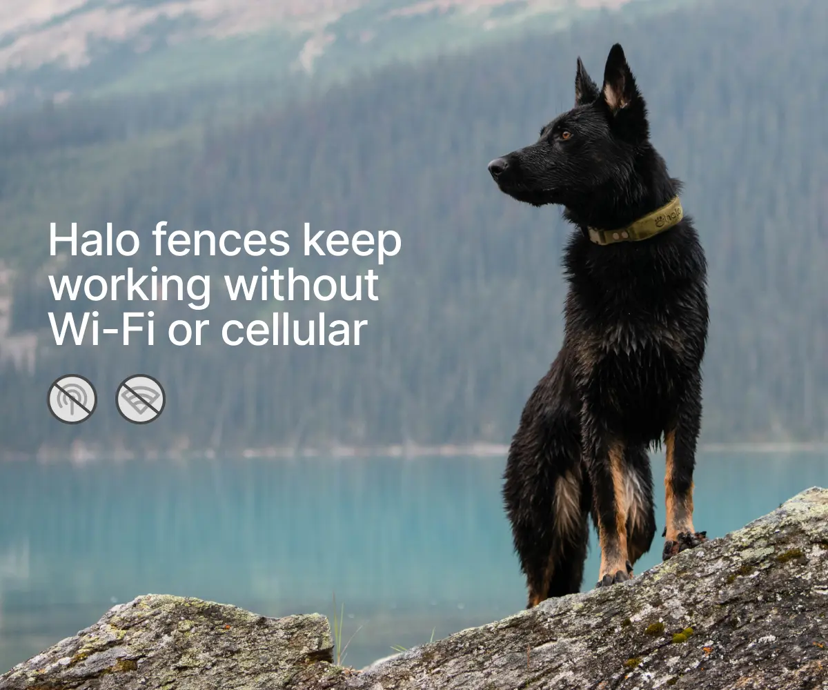 Diagram showing the five-step chain from fence creation in the app to on-collar satellite enforcement