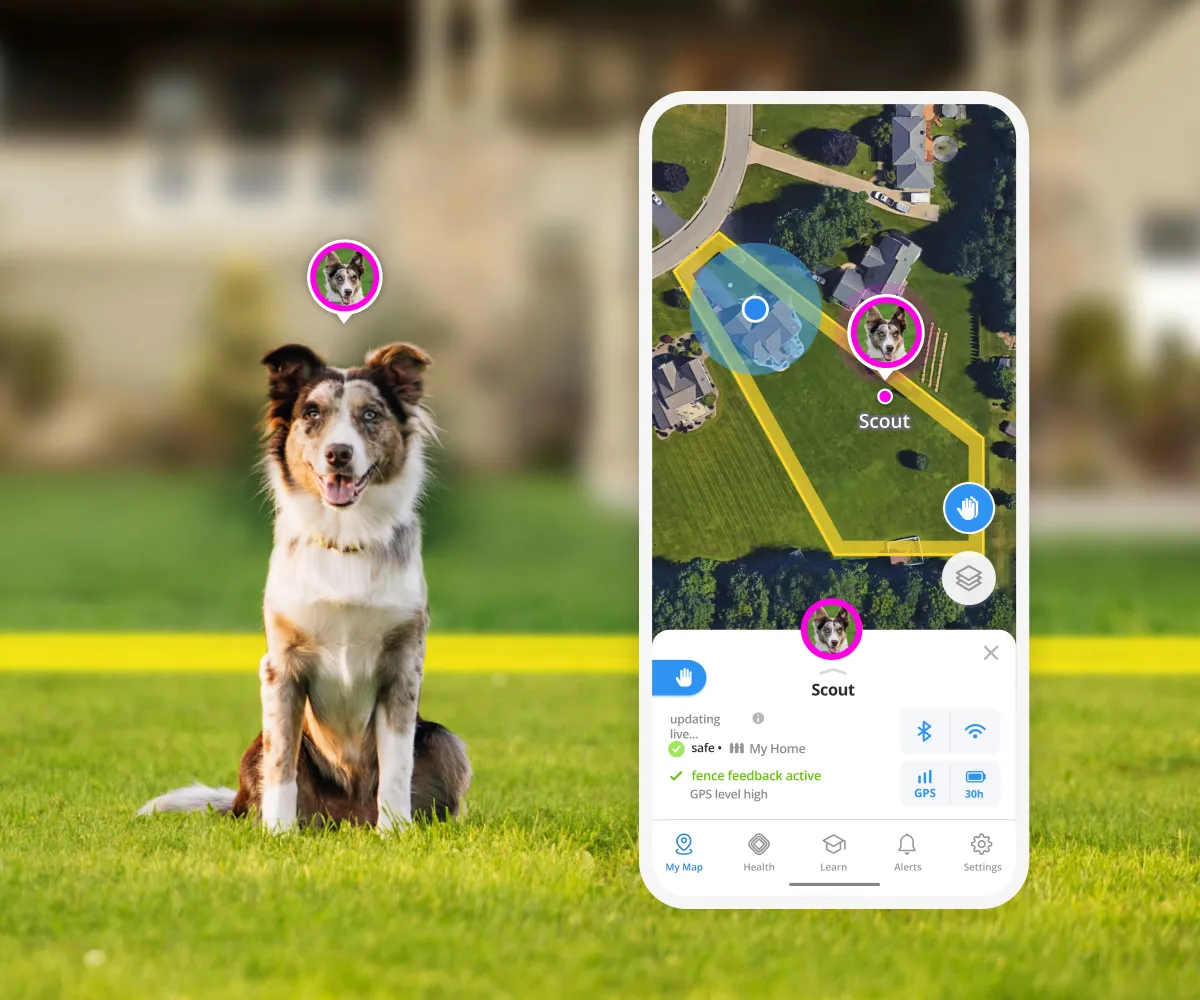 Halo Collar 5 GPS fence map showing property boundary detection and safe zone visualization