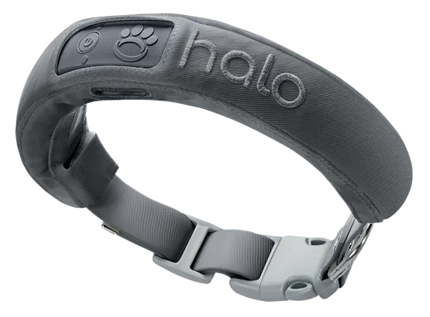 Halo Collar 4