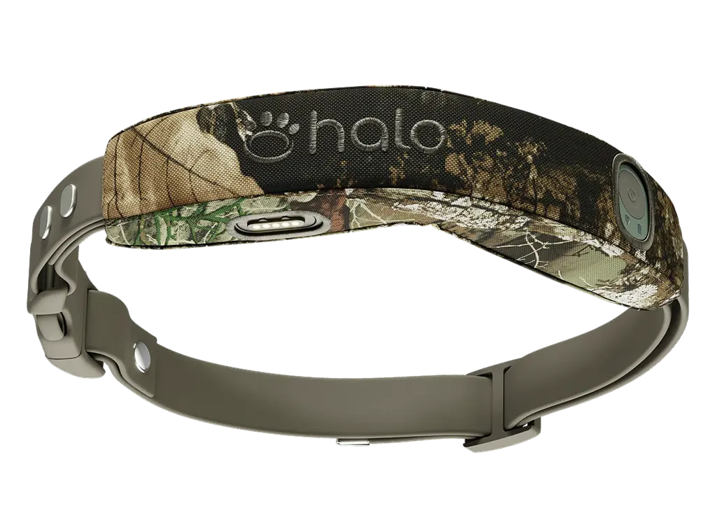 Halo Collar 5 in the color Realtree