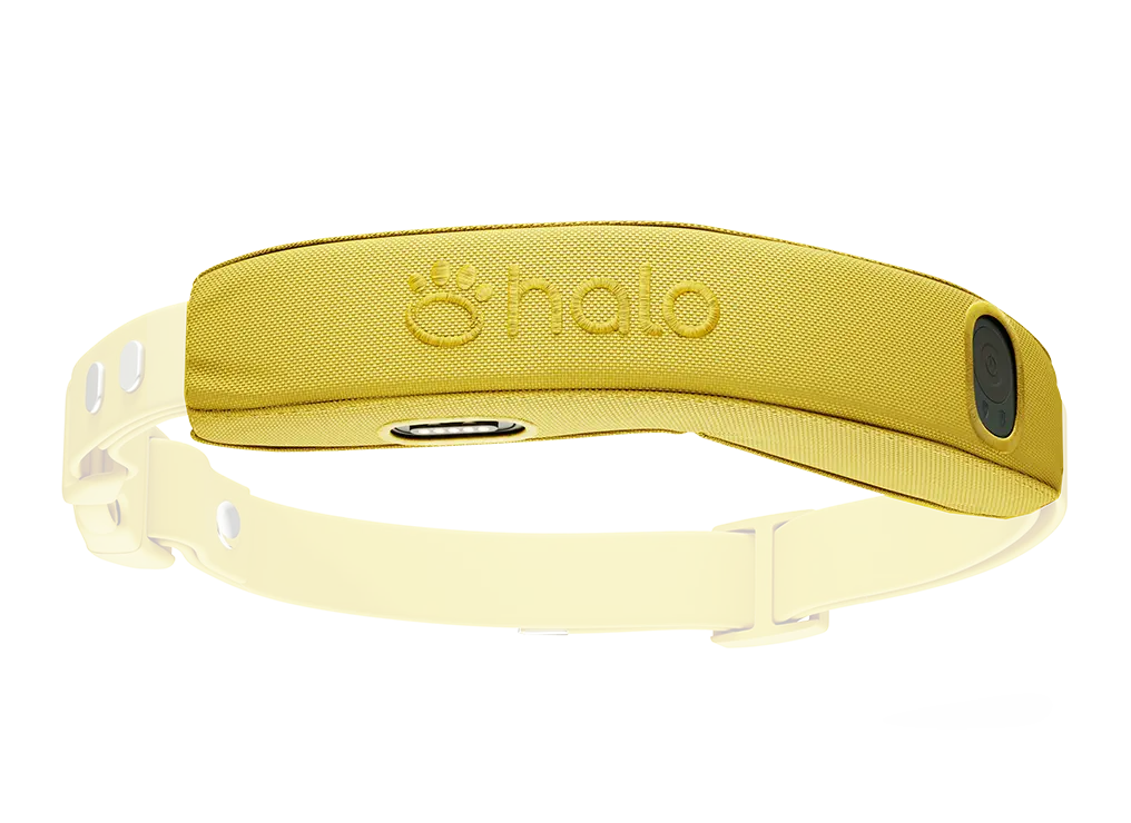 Pro Case for Halo Collar 4/5