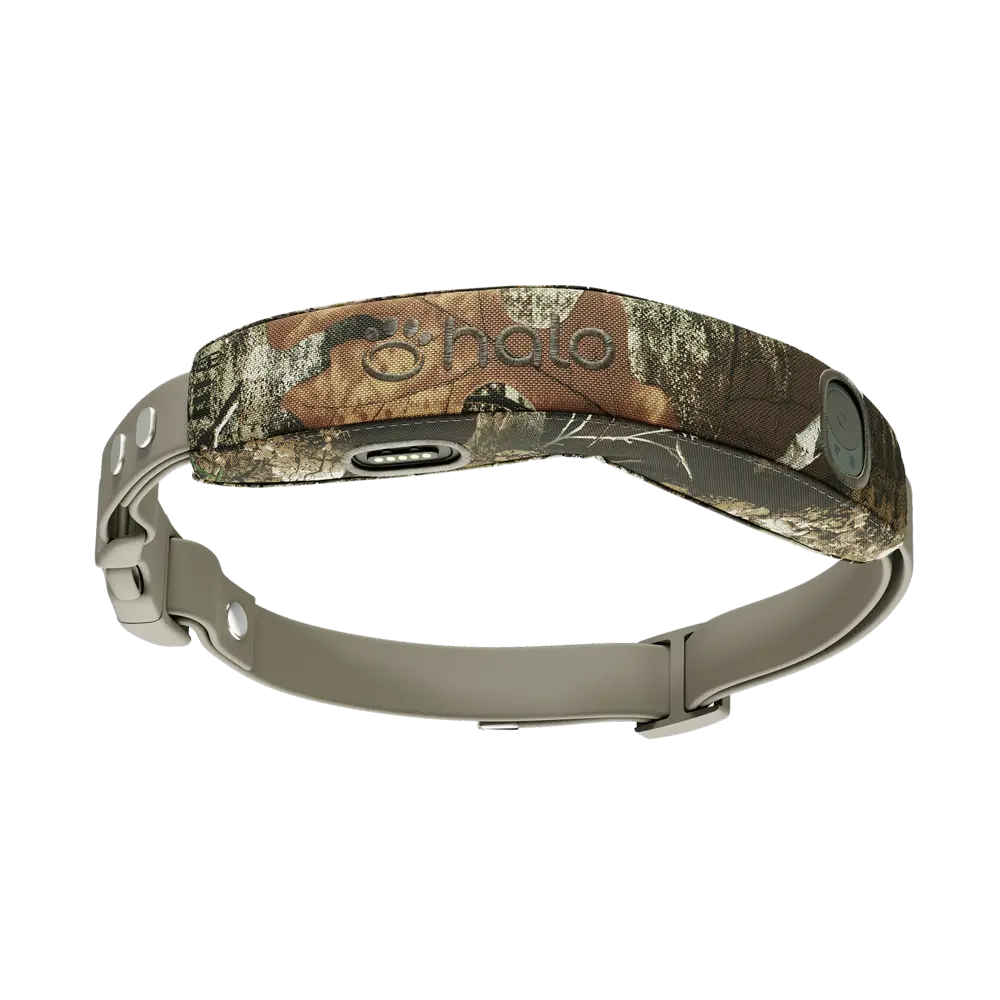 Realtree collar