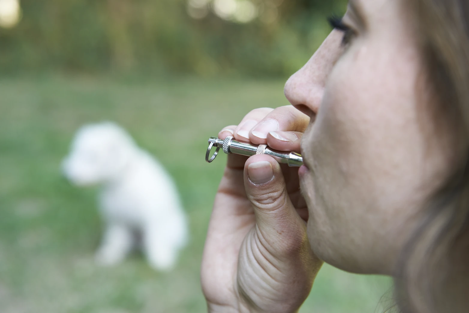 Woman training her dog with a dog whistle