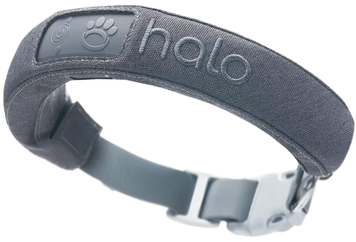 Halo Wireless GPS Dog Collar 2+