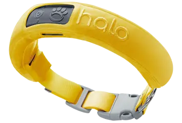 Halo Wireless GPS Dog Collar 3