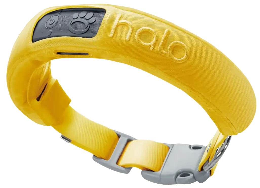 Halo Collar 3