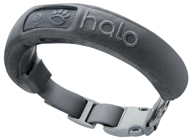 Like-New Halo Collar 2+