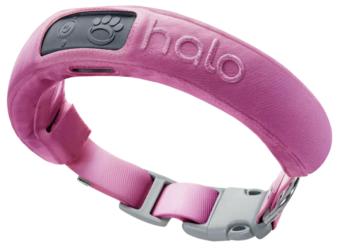 Like-New Halo Collar 3