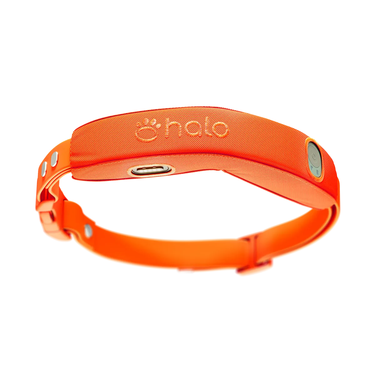 Halo Collar 4 in the color Blaze