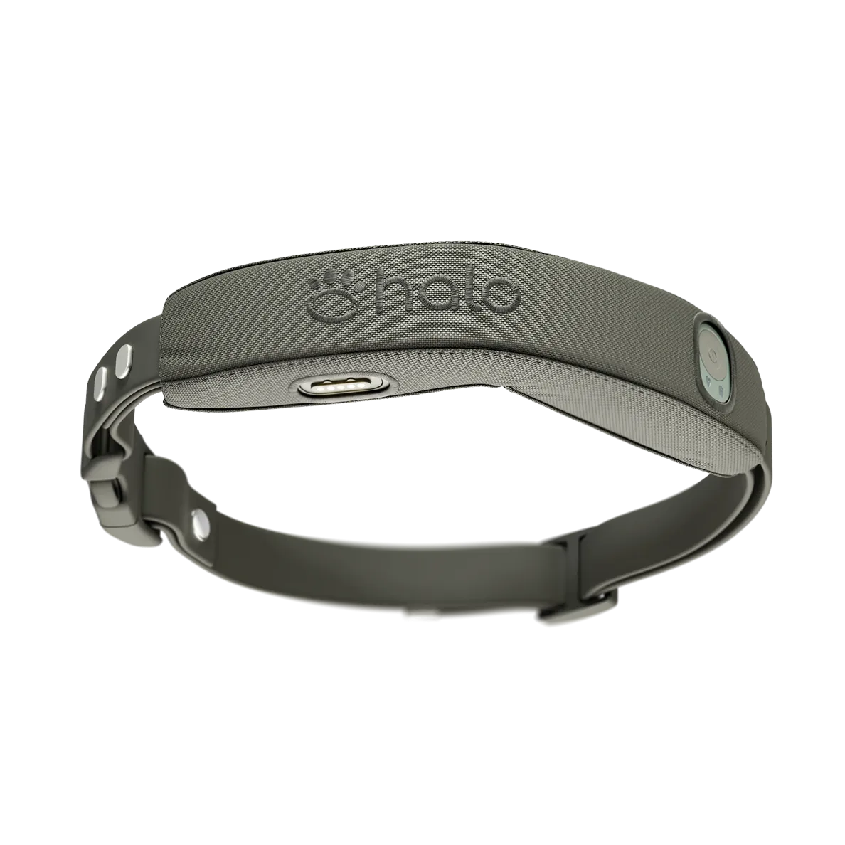 Halo Collar 4 in the color Graphite