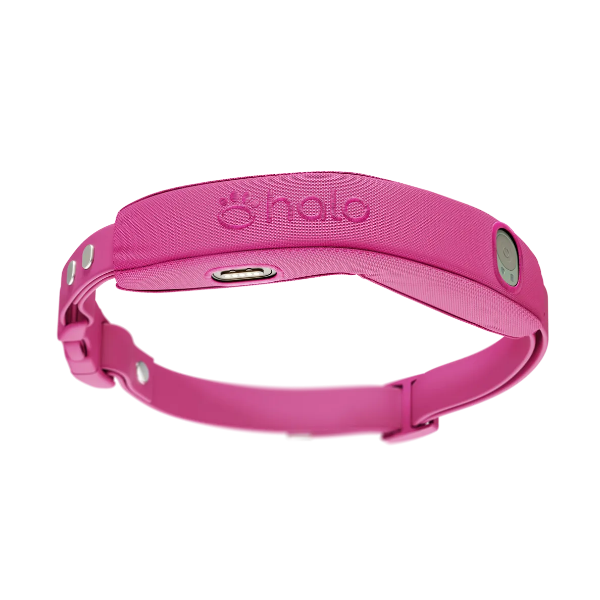 Halo Collar 4 in the color Orchid