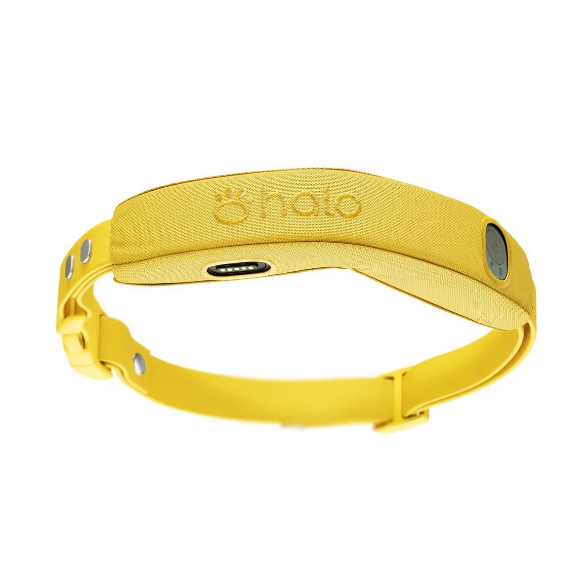 Halo Collar 4 in the color Sunburst
