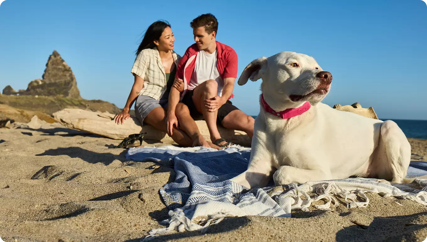 Pro Case for Halo Collar 4